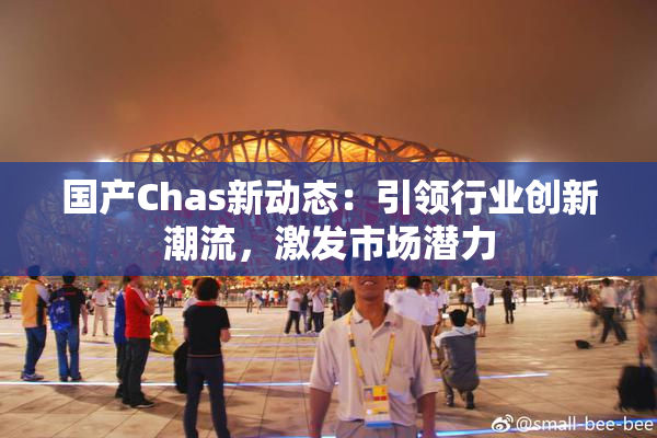 国产Chas新动态：引领行业创新潮流，激发市场潜力