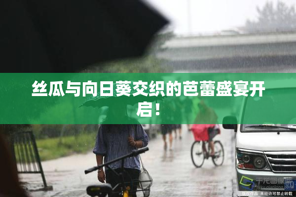 丝瓜与向日葵交织的芭蕾盛宴开启！