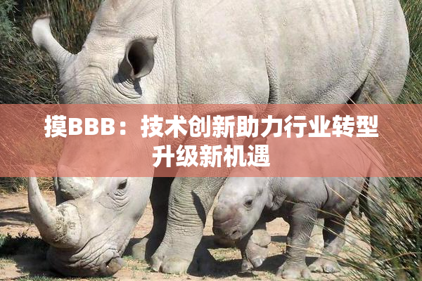 摸BBB：技术创新助力行业转型升级新机遇