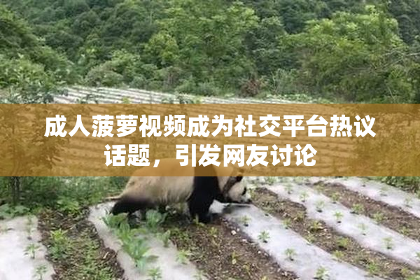成人菠萝视频成为社交平台热议话题，引发网友讨论
