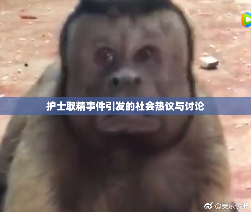 护士取精事件引发的社会热议与讨论