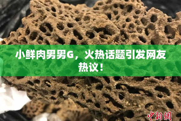 小鲜肉男男G，火热话题引发网友热议！