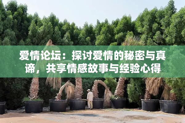 爱情论坛：探讨爱情的秘密与真谛，共享情感故事与经验心得