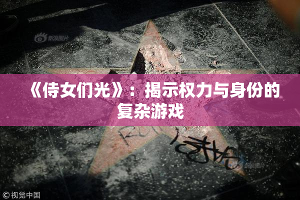 《侍女们光》：揭示权力与身份的复杂游戏