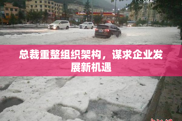 总裁重整组织架构，谋求企业发展新机遇