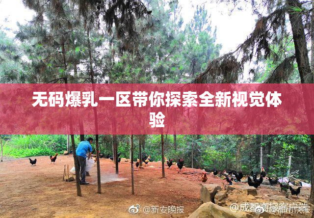 无码爆乳一区带你探索全新视觉体验