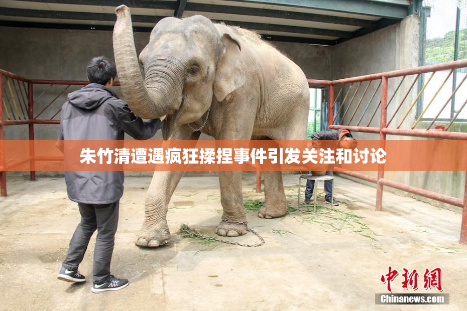朱竹清遭遇疯狂揉捏事件引发关注和讨论