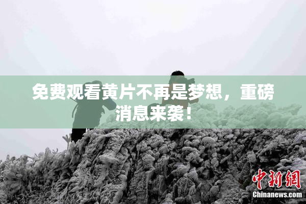 免费观看黄片不再是梦想，重磅消息来袭！