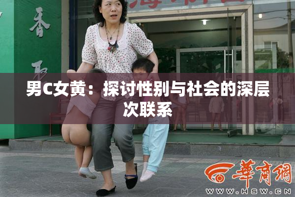 男C女黄：探讨性别与社会的深层次联系