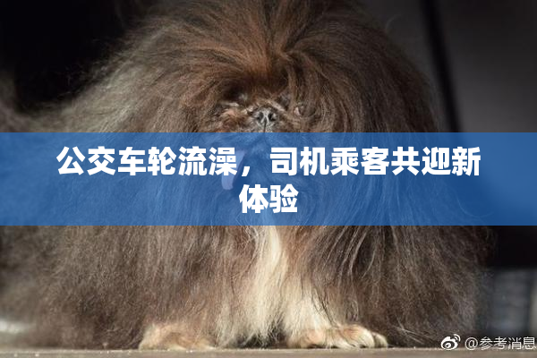 公交车轮流澡，司机乘客共迎新体验