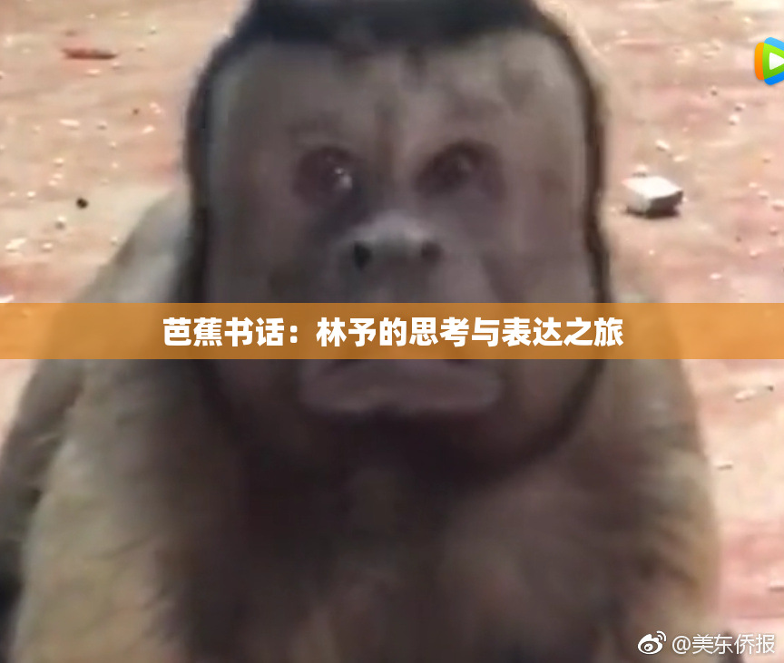 芭蕉书话：林予的思考与表达之旅