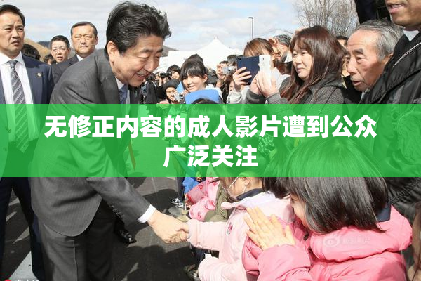 无修正内容的成人影片遭到公众广泛关注