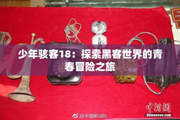 少年骇客18：探索黑客世界的青春冒险之旅