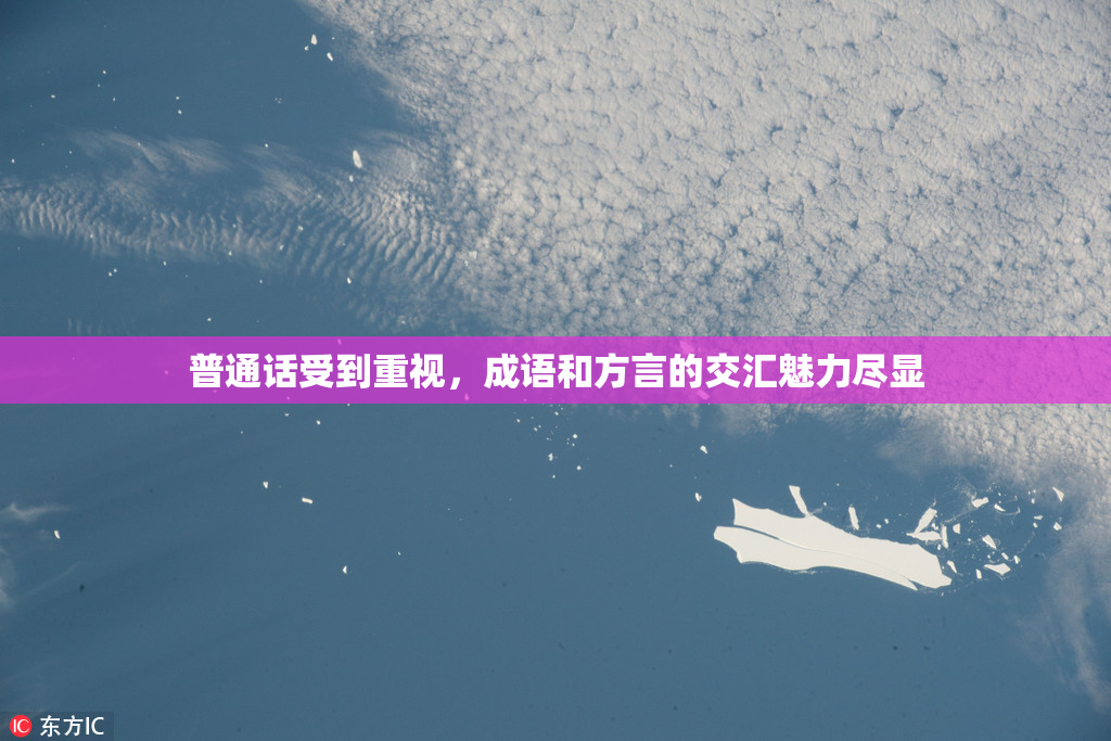 普通话受到重视，成语和方言的交汇魅力尽显