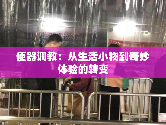 便器调教：从生活小物到奇妙体验的转变