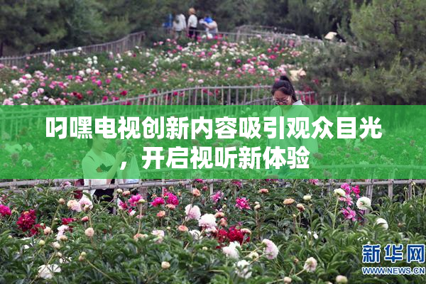 叼嘿电视创新内容吸引观众目光，开启视听新体验