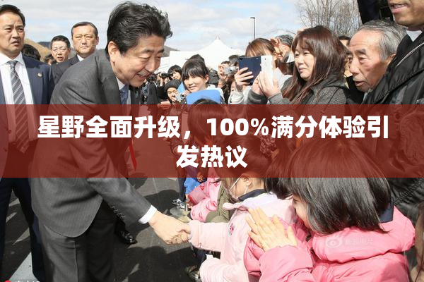 星野全面升级，100%满分体验引发热议