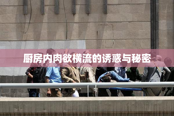 厨房内肉欲横流的诱惑与秘密
