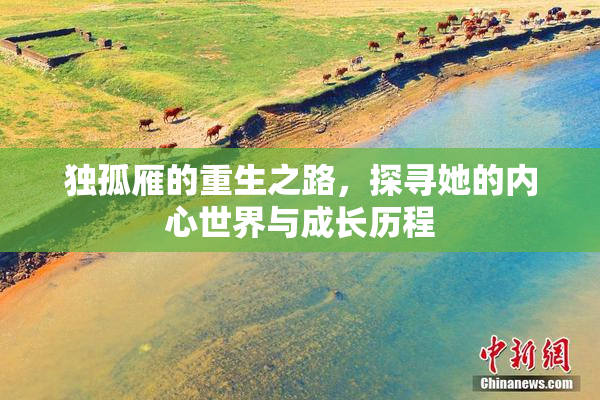 独孤雁的重生之路，探寻她的内心世界与成长历程