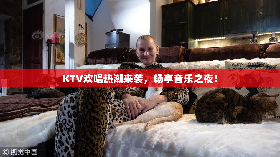 KTV欢唱热潮来袭，畅享音乐之夜！