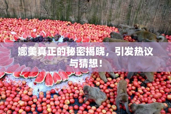 娜美真正的秘密揭晓，引发热议与猜想！