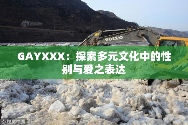 GAYXXX：探索多元文化中的性别与爱之表达