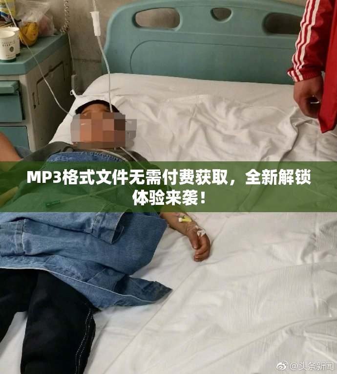 MP3格式文件无需付费获取，全新解锁体验来袭！