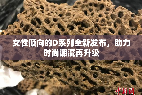 女性倾向的D系列全新发布，助力时尚潮流再升级
