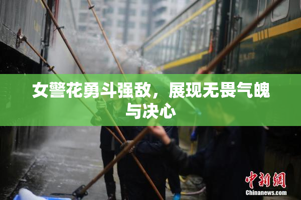 女警花勇斗强敌，展现无畏气魄与决心