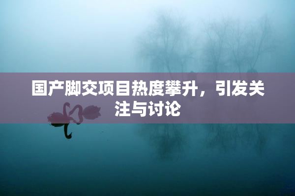 国产脚交项目热度攀升，引发关注与讨论