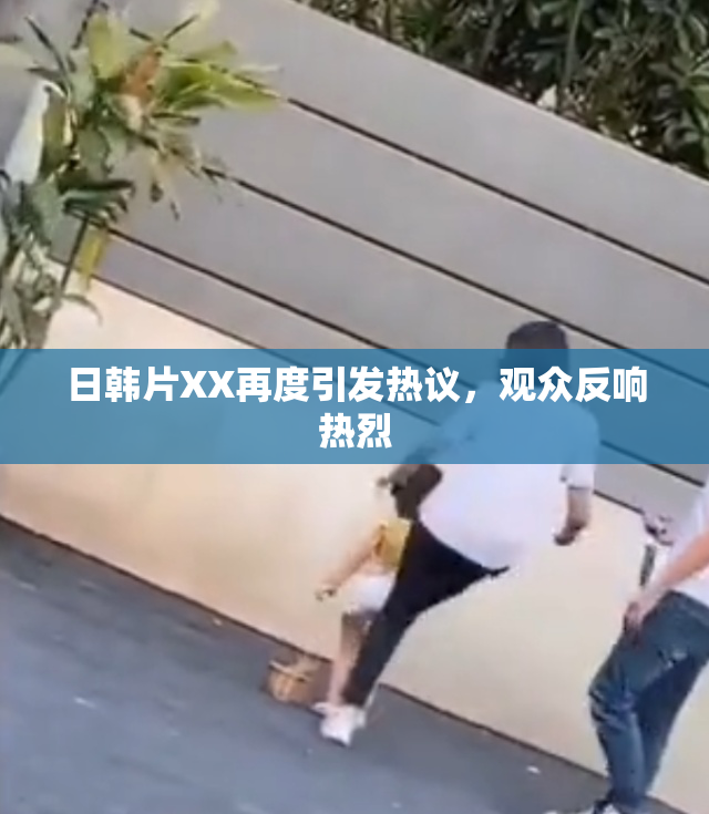 日韩片XX再度引发热议，观众反响热烈