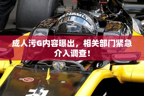 成人污G内容曝出，相关部门紧急介入调查！