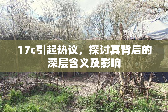 17c引起热议，探讨其背后的深层含义及影响