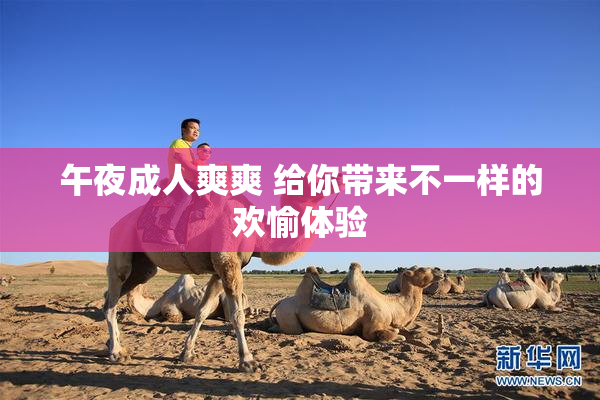 午夜成人爽爽 给你带来不一样的欢愉体验