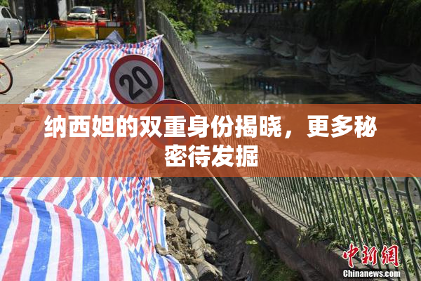 纳西妲的双重身份揭晓，更多秘密待发掘