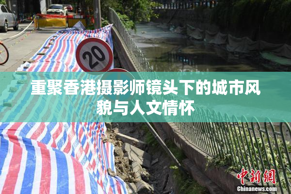 重聚香港摄影师镜头下的城市风貌与人文情怀