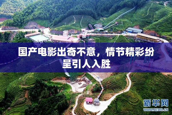国产电影出奇不意，情节精彩纷呈引人入胜