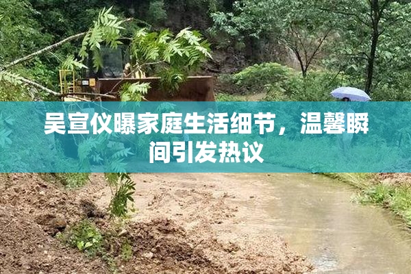 吴宣仪曝家庭生活细节，温馨瞬间引发热议