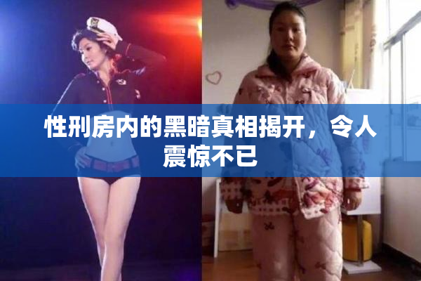 性刑房内的黑暗真相揭开，令人震惊不已