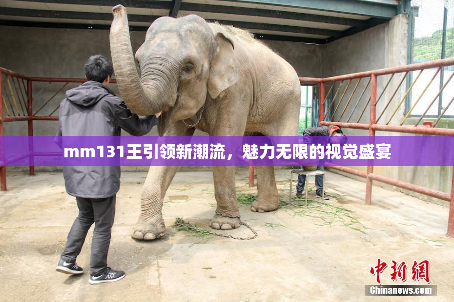 mm131王引领新潮流，魅力无限的视觉盛宴