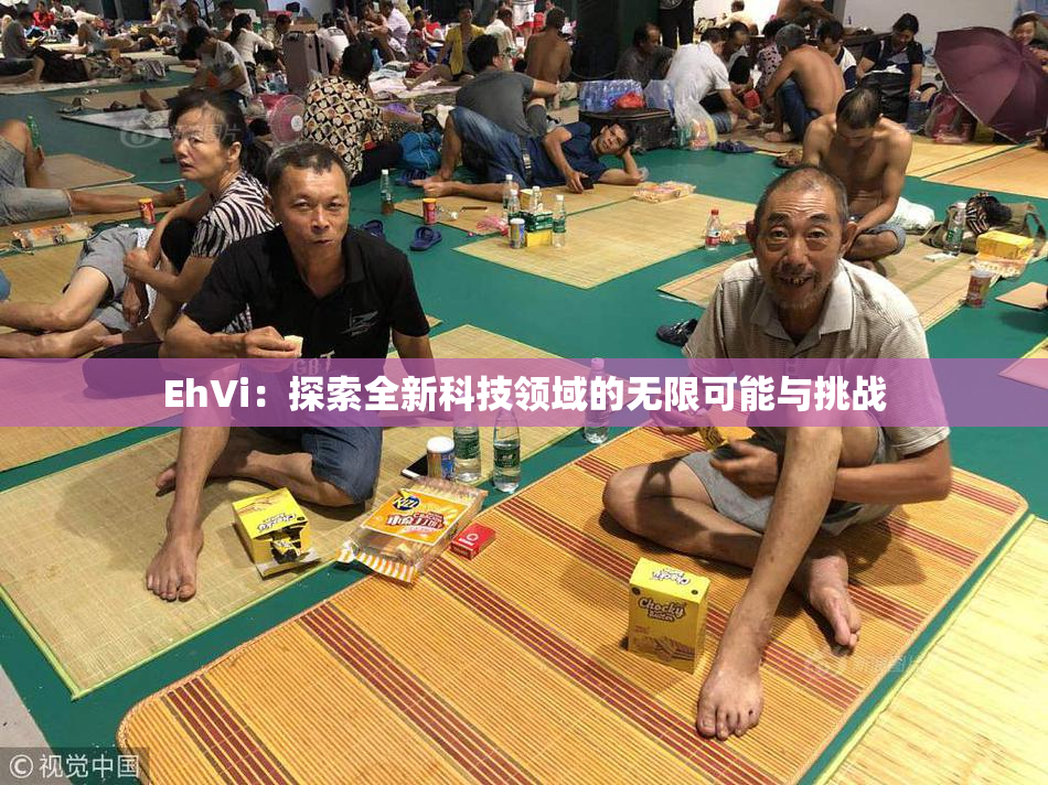 EhVi：探索全新科技领域的无限可能与挑战