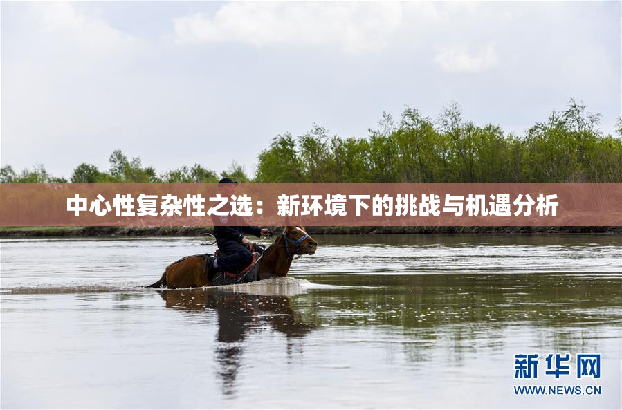 中心性复杂性之选：新环境下的挑战与机遇分析