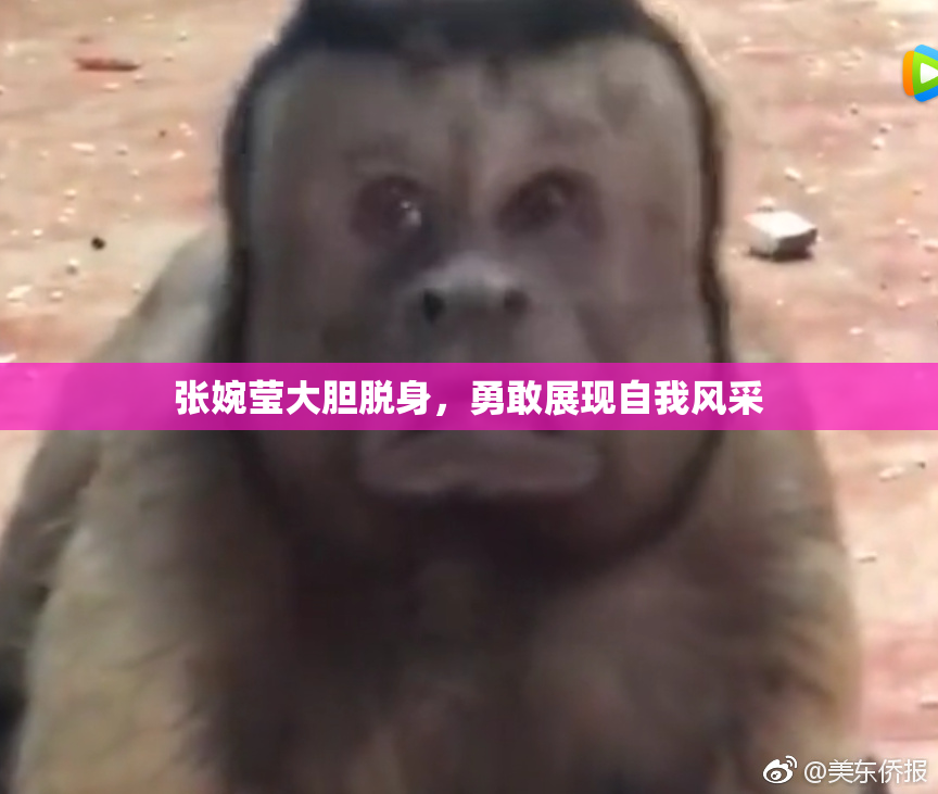 张婉莹大胆脱身，勇敢展现自我风采