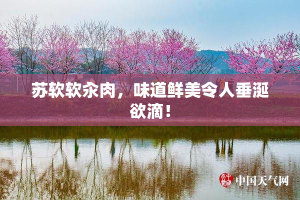 苏软软汆肉，味道鲜美令人垂涎欲滴！