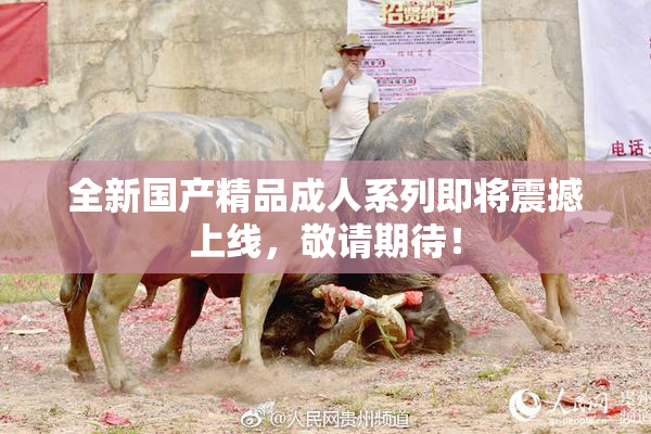 全新国产精品成人系列即将震撼上线，敬请期待！