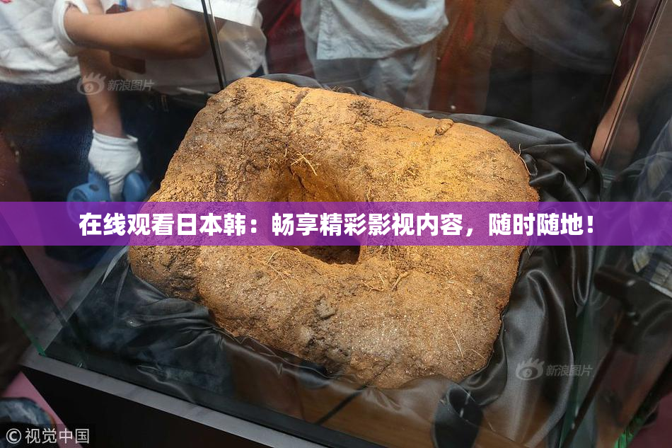 在线观看日本韩：畅享精彩影视内容，随时随地！