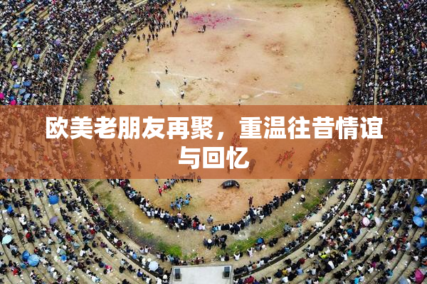 欧美老朋友再聚，重温往昔情谊与回忆