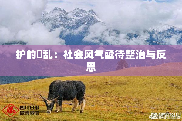 护的婬乱：社会风气亟待整治与反思