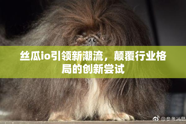 丝瓜io引领新潮流，颠覆行业格局的创新尝试