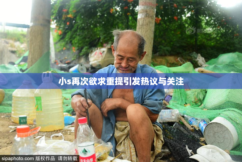 小s再次欲求重提引发热议与关注